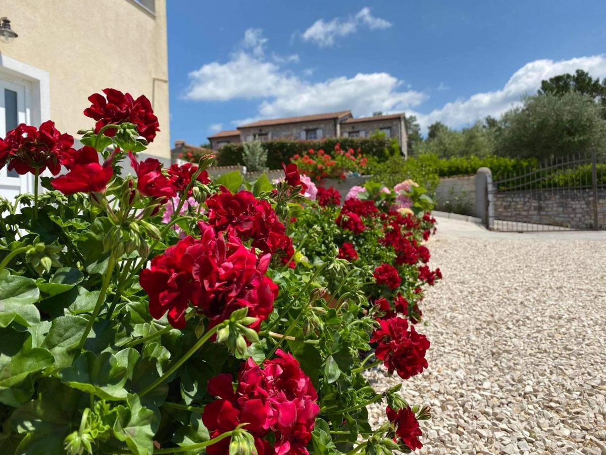 Apartman Luna Sveti Lovreč Pazenatički Eksteriør billede